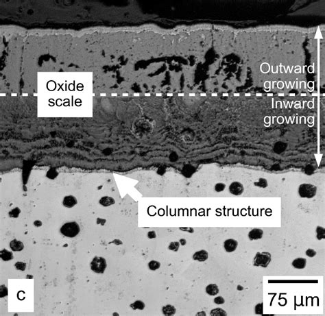 Oxide Scale Behaviour In High Temperature Metal Processing