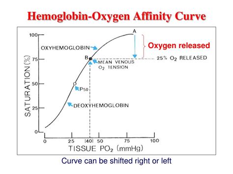 Oxygen Affinity Curve