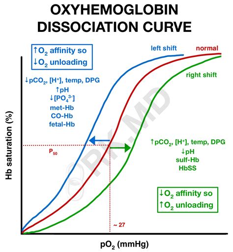 Oxygen Binding Curve