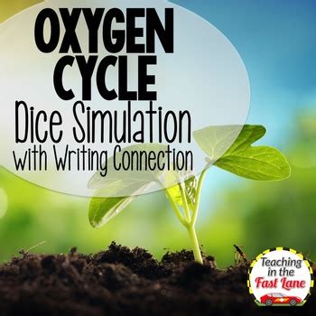 Oxygen Cycle Dice Simulation With Writing Connection Teaching Oxygen Cycle Worksheet 7th Grade - Oxygen Cycle Worksheet 7th Grade