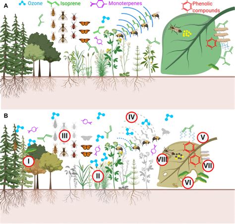 Ozone Affects Plant Insect And Soil Microbial Communities Ozone Science - Ozone Science