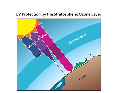 Ozone Depletion Ultraviolet Radiation Climate Change And Nature Ozone Science - Ozone Science