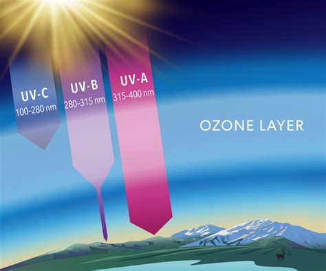 Ozone Layer Absorbs