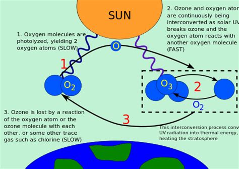 Ozone Layer Wikipedia Ozone Science - Ozone Science