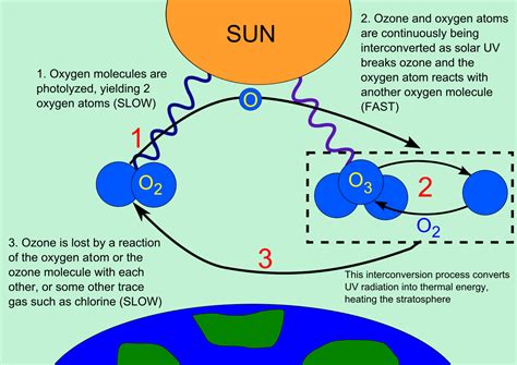 Ozone Wikipedia Ozone Science - Ozone Science