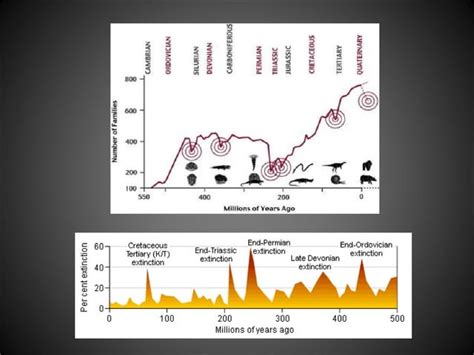 P T Mass Extinction