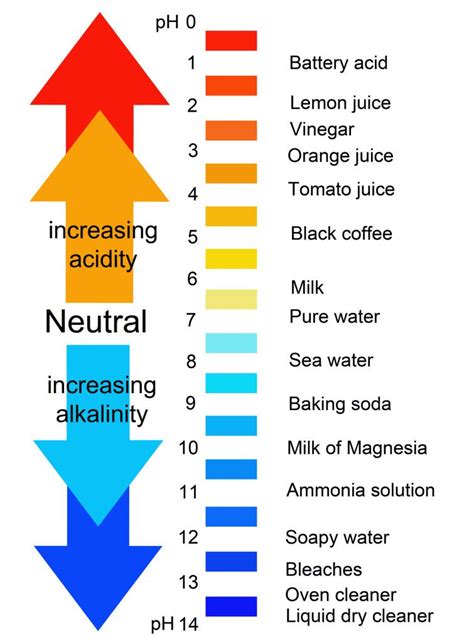 pH and Solutions - Mixture of Acids and Bases, …