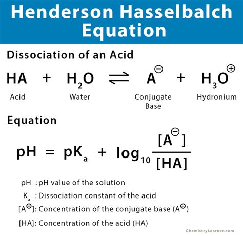 pH and the Henderson-Hasselbalch equation - PubMed