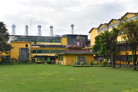 Pabrik Gula Madukismo Yogyakarta Aikon Org Pabrik Gula Madukismo Yogyakarta - Pabrik Gula Madukismo Yogyakarta