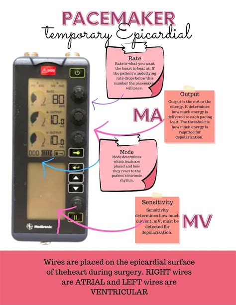 Read Pace Dc50X User Guide 