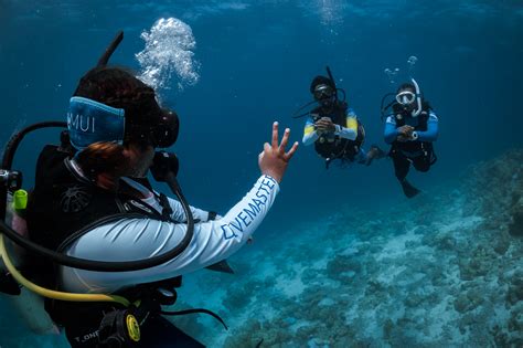 Padi Divemaster