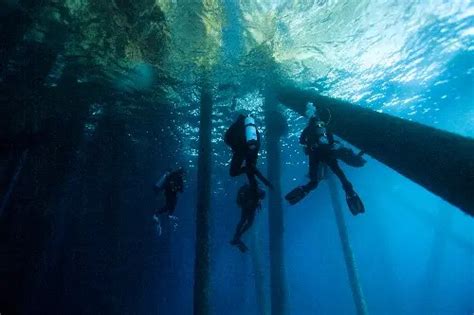 Padi Scuba Diving Section 3 Assessment Answers