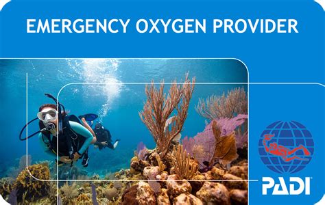 Read Online Padi Emergency Oxygen Provider Knowledge Review 