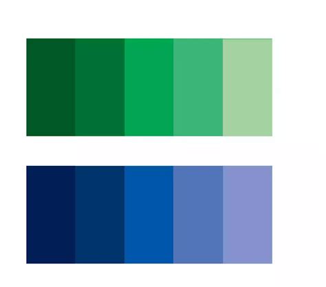 Paduan Warna  Menyelaraskan Gaya Anda Dengan Perpaduan Warna Biru Dongker - Paduan Warna