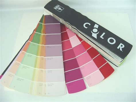 paint color sample