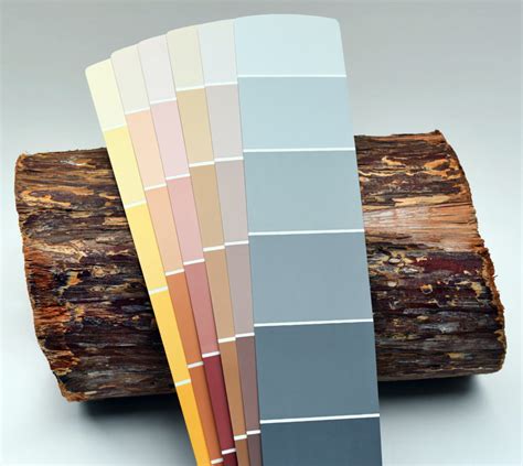 paint color samples