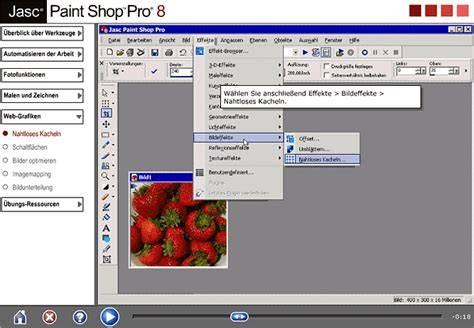 paint shop pro 8 the guide to creating professiona