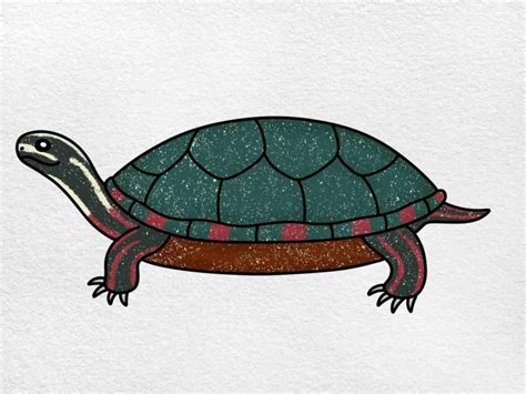 Painted Turtle Drawing Helloartsy Painted Turtle Coloring Page - Painted Turtle Coloring Page