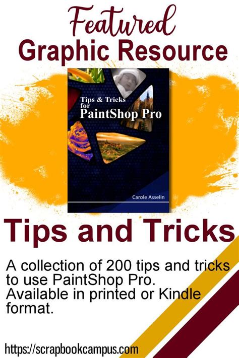 Paintshop Pro Killer Tips Tips Tricks Secrets Sho