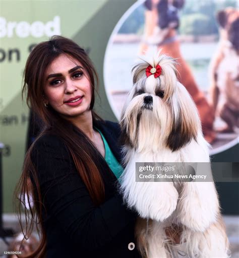 pakistan dog show