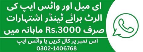 Pakistan Newspaper