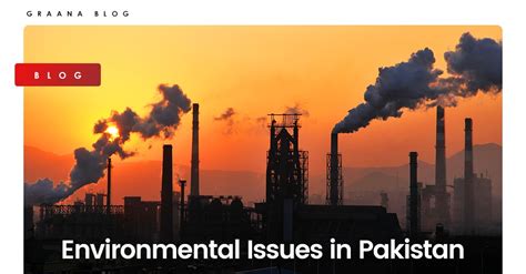 Read Online Pakistan Issues And Developments 