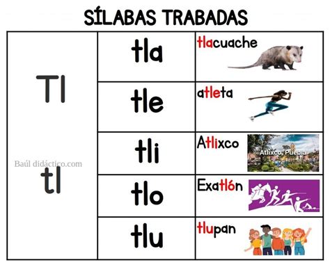Palabras Con Tle