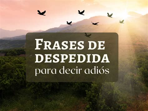 Palabras De Despedida