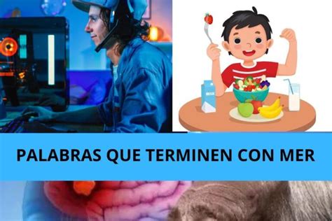 Palabras Que Terminen Con Mer