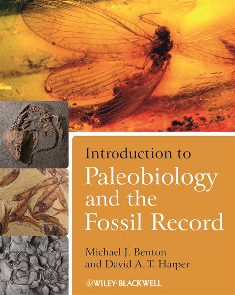 Read Palaeobiology Ii Paleobiology 