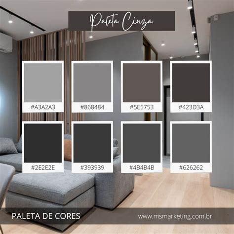 Paleta De Cor Cinza