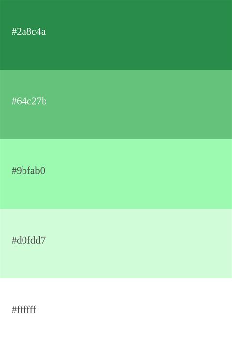 Paleta Verde Menta