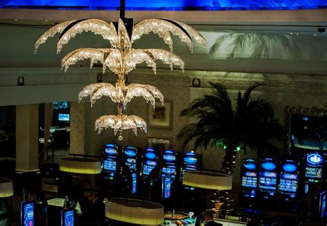 palm beach casino mayfair