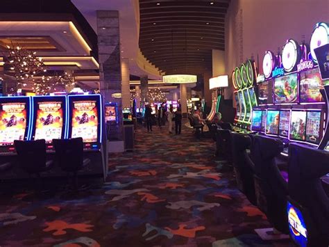 palm casino