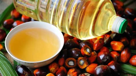 palmolja hälsa
