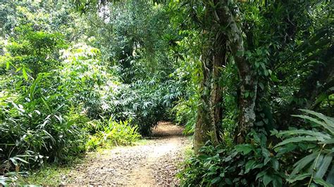 Palode Botanical Garden