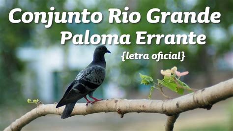 Paloma Errante Letra