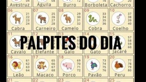 palpite para o jogo do bicho hoje