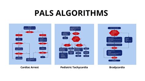 Pals Assessment