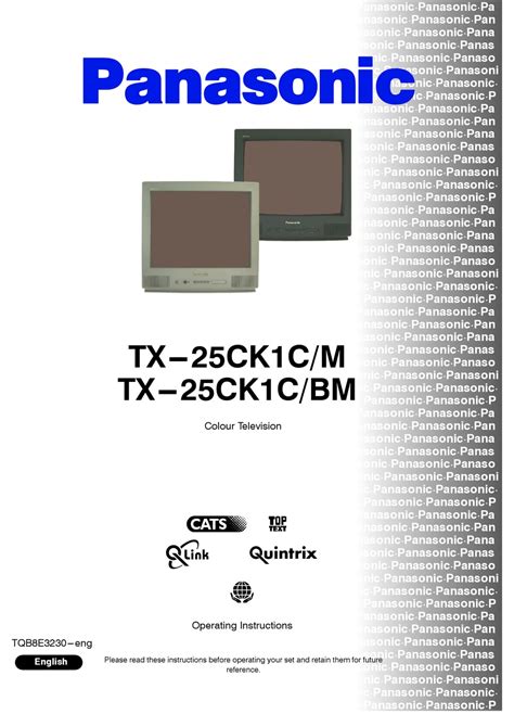 Read Panasonic Quintrix User Guide 