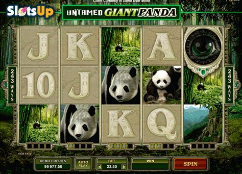 panda bear casino game zhfr canada