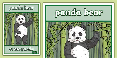 Panda In Spanish