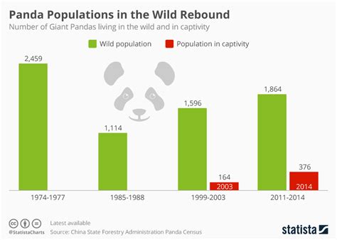 Panda Population Over Time