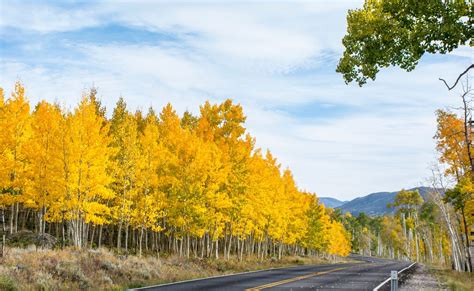 pando utah