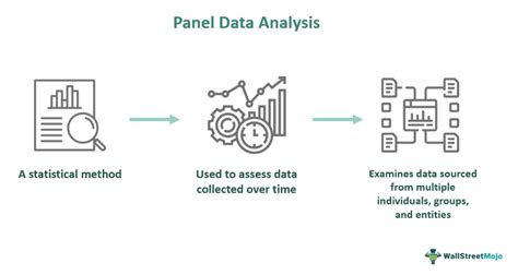 Panel Data Analysis Advantages And Challenges