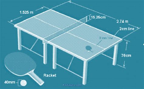 PANJANG MEJA TENIS MEJA ADALAH - Ukuran Lapangan Tenis Meja | PDF