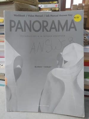 panorama workbook answers