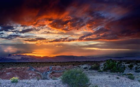 Panoramic Desert Sunset