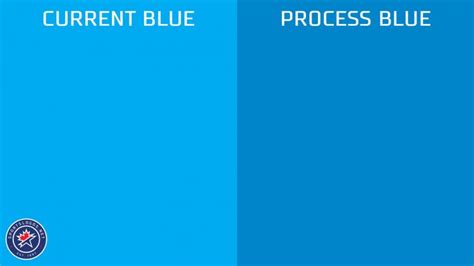 panthers colors