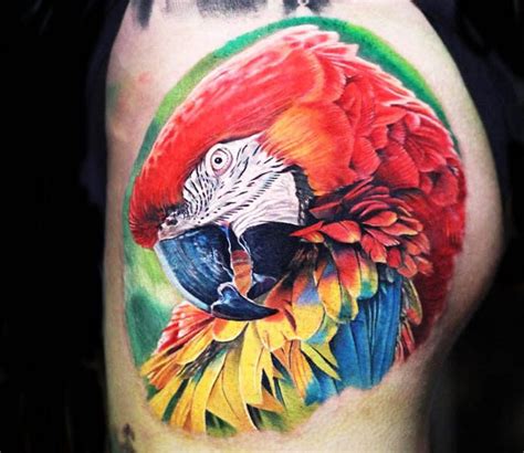 Papageien Tattoos